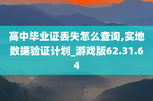 高中毕业证丢失怎么查询,实地数据验证计划_游戏版62.31.64