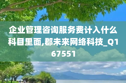 企业管理咨询服务费计入什么科目里面,郡未来网络科技_Q167551