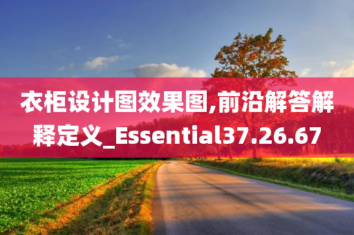 衣柜设计图效果图,前沿解答解释定义_Essential37.26.67