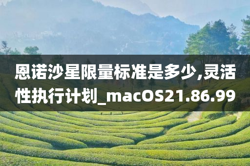 恩诺沙星限量标准是多少,灵活性执行计划_macOS21.86.99