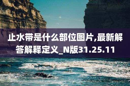 止水带是什么部位图片,最新解答解释定义_N版31.25.11