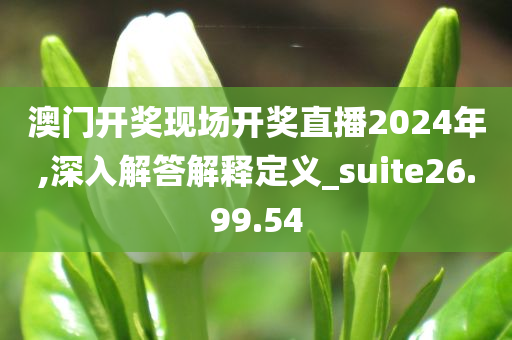 澳门开奖现场开奖直播2024年,深入解答解释定义_suite26.99.54