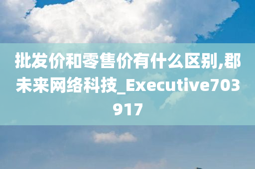 批发价和零售价有什么区别,郡未来网络科技_Executive703917