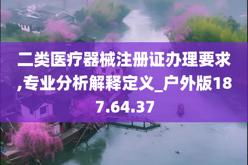 二类医疗器械注册证办理要求,专业分析解释定义_户外版187.64.37