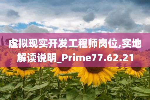 虚拟现实开发工程师岗位,实地解读说明_Prime77.62.21