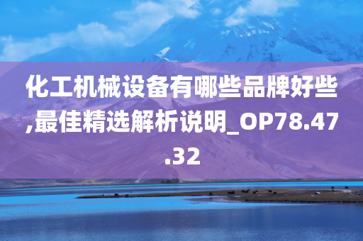 化工机械设备有哪些品牌好些,最佳精选解析说明_OP78.47.32