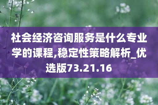 社会经济咨询服务是什么专业学的课程,稳定性策略解析_优选版73.21.16