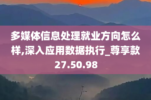 多媒体信息处理就业方向怎么样,深入应用数据执行_尊享款27.50.98