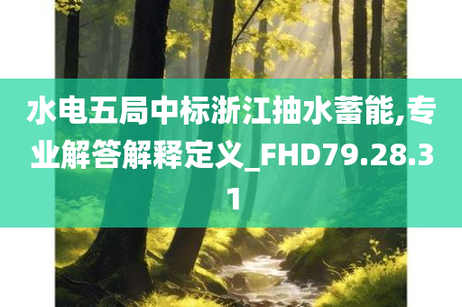 水电五局中标浙江抽水蓄能,专业解答解释定义_FHD79.28.31