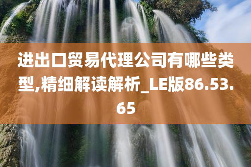 进出口贸易代理公司有哪些类型,精细解读解析_LE版86.53.65