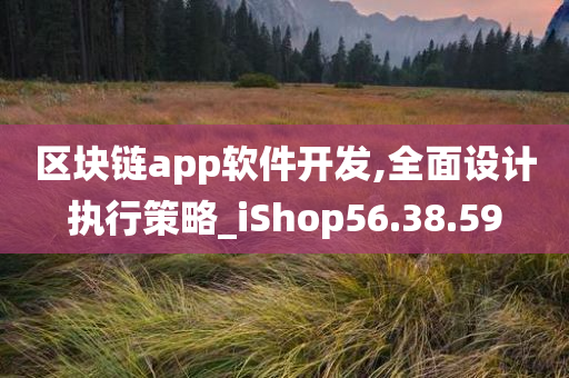 区块链app软件开发,全面设计执行策略_iShop56.38.59