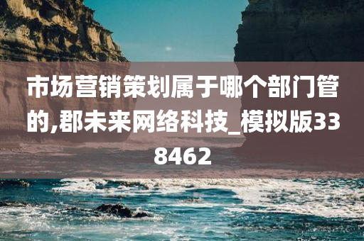 市场营销策划属于哪个部门管的,郡未来网络科技_模拟版338462