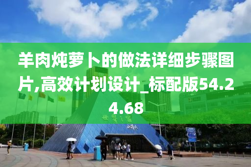 羊肉炖萝卜的做法详细步骤图片,高效计划设计_标配版54.24.68