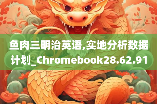 鱼肉三明治英语,实地分析数据计划_Chromebook28.62.91