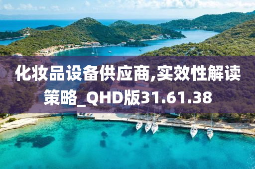 化妆品设备供应商,实效性解读策略_QHD版31.61.38