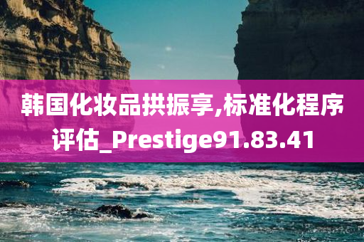 韩国化妆品拱振享,标准化程序评估_Prestige91.83.41