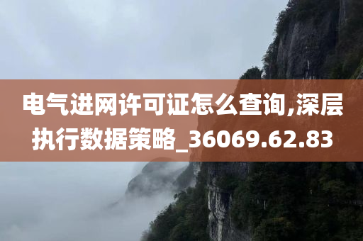 电气进网许可证怎么查询,深层执行数据策略_36069.62.83