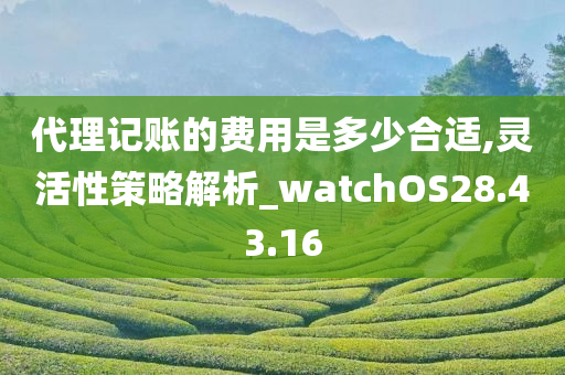 代理记账的费用是多少合适,灵活性策略解析_watchOS28.43.16