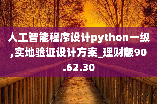 人工智能程序设计python一级,实地验证设计方案_理财版90.62.30