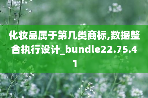 化妆品属于第几类商标,数据整合执行设计_bundle22.75.41