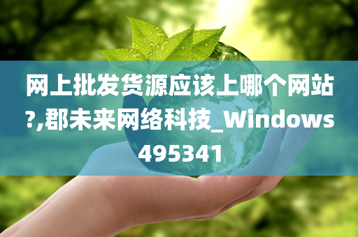 网上批发货源应该上哪个网站?,郡未来网络科技_Windows495341