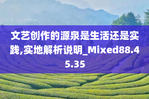 文艺创作的源泉是生活还是实践,实地解析说明_Mixed88.45.35