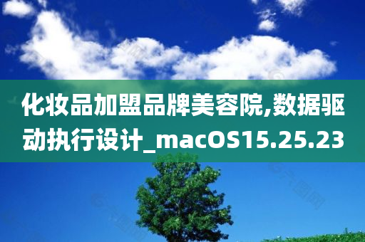 化妆品加盟品牌美容院,数据驱动执行设计_macOS15.25.23