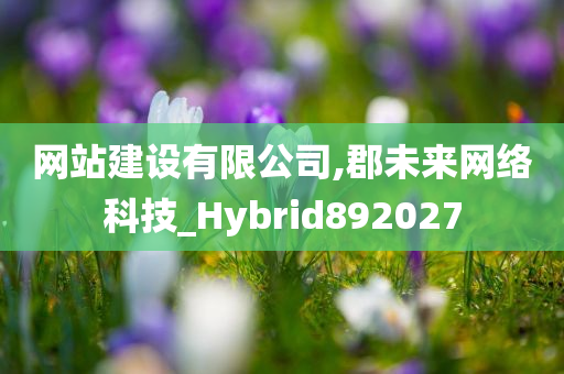 网站建设有限公司,郡未来网络科技_Hybrid892027