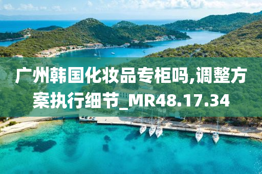 广州韩国化妆品专柜吗,调整方案执行细节_MR48.17.34