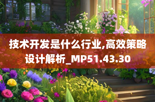 技术开发是什么行业,高效策略设计解析_MP51.43.30