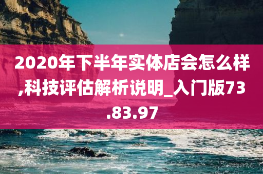 2020年下半年实体店会怎么样,科技评估解析说明_入门版73.83.97