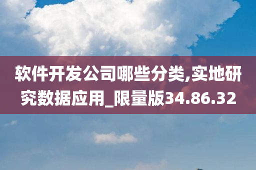 软件开发公司哪些分类,实地研究数据应用_限量版34.86.32