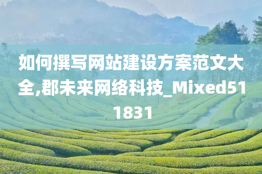 如何撰写网站建设方案范文大全,郡未来网络科技_Mixed511831