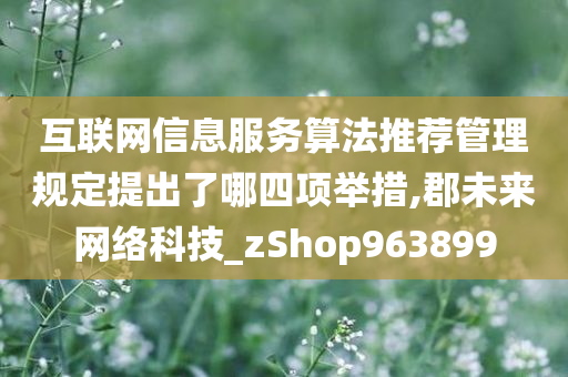 互联网信息服务算法推荐管理规定提出了哪四项举措,郡未来网络科技_zShop963899