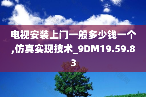 电视安装上门一般多少钱一个,仿真实现技术_9DM19.59.83