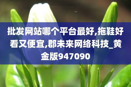 批发网站哪个平台最好,拖鞋好看又便宜,郡未来网络科技_黄金版947090