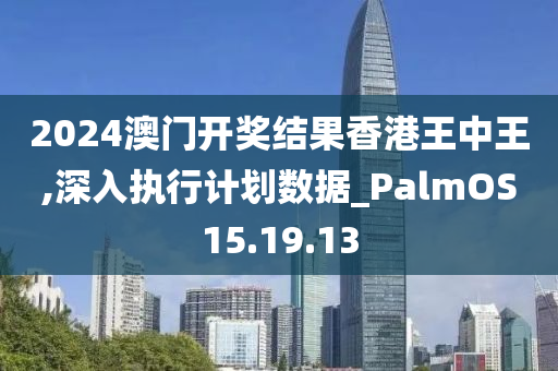 2024澳门开奖结果香港王中王,深入执行计划数据_PalmOS15.19.13