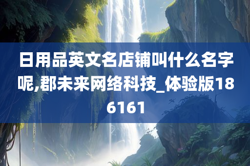 日用品英文名店铺叫什么名字呢,郡未来网络科技_体验版186161