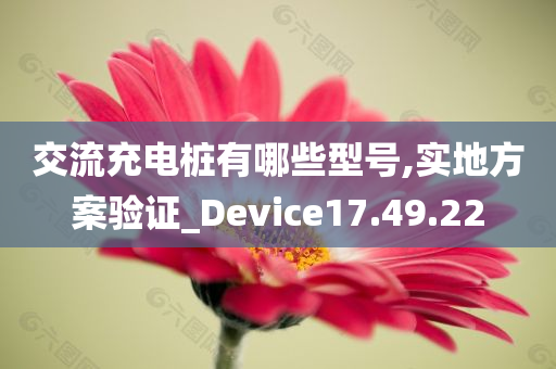 交流充电桩有哪些型号,实地方案验证_Device17.49.22