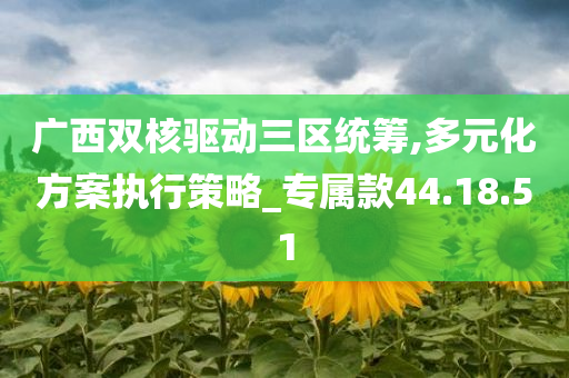 广西双核驱动三区统筹,多元化方案执行策略_专属款44.18.51