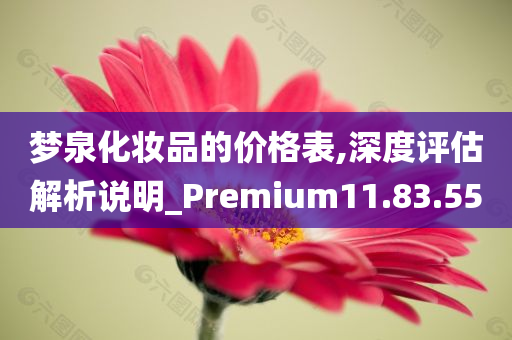 梦泉化妆品的价格表,深度评估解析说明_Premium11.83.55