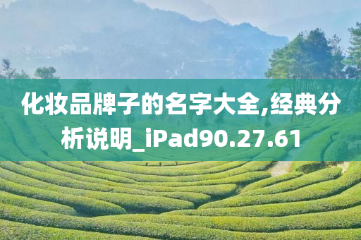 化妆品牌子的名字大全,经典分析说明_iPad90.27.61