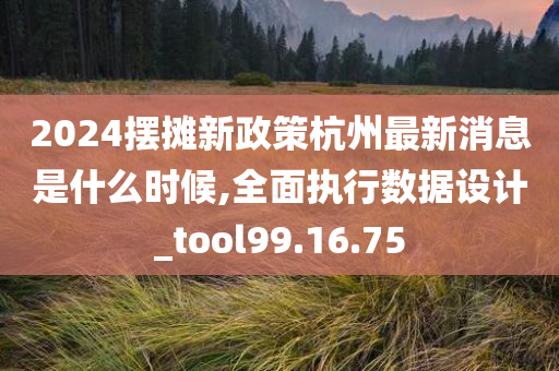 2024摆摊新政策杭州最新消息是什么时候,全面执行数据设计_tool99.16.75