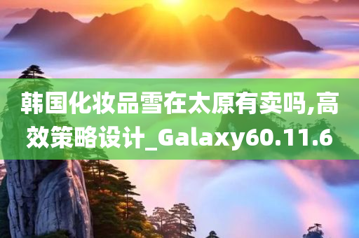 韩国化妆品雪在太原有卖吗,高效策略设计_Galaxy60.11.60