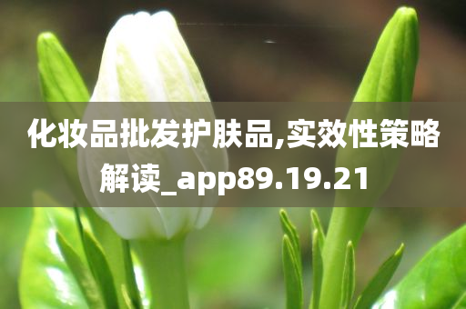 化妆品批发护肤品,实效性策略解读_app89.19.21