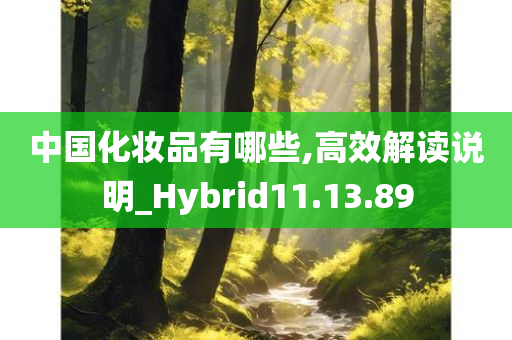 中国化妆品有哪些,高效解读说明_Hybrid11.13.89