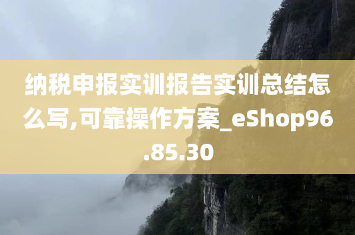 纳税申报实训报告实训总结怎么写,可靠操作方案_eShop96.85.30