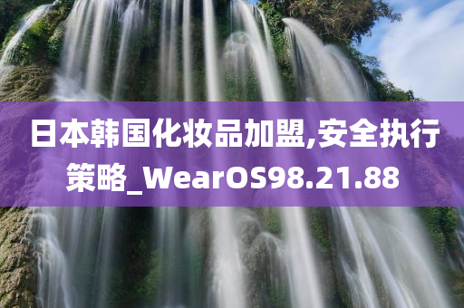 日本韩国化妆品加盟,安全执行策略_WearOS98.21.88