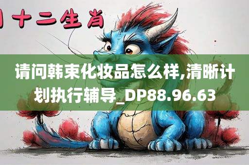 请问韩束化妆品怎么样,清晰计划执行辅导_DP88.96.63