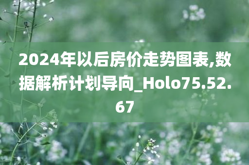 2024年以后房价走势图表,数据解析计划导向_Holo75.52.67